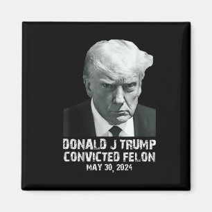 Felon Donald Trump Guilty Lock Him Up Trump Prison Magnet