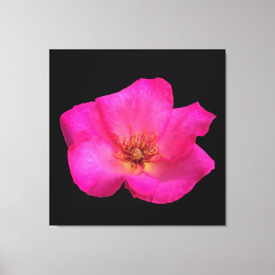 Felt Pen Rose Canvas Print