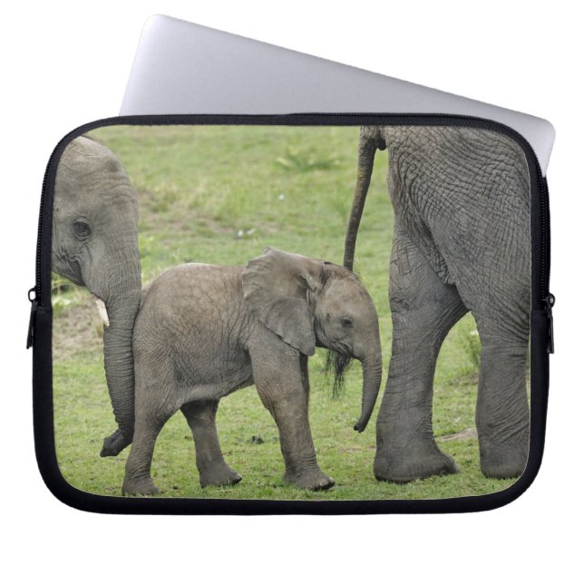 Female African Elephant with Baby Laptop Sleeve (Front)