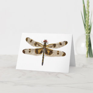 Female Banded Pennant Dragonfly Card