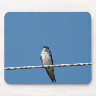 Female Barn Swallow Mouse Pad