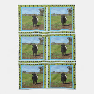 Female Belted Galloway Cow, Tea Towel