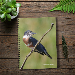 Female Belted Kingfisher Out on a Limb Spiral Notebook