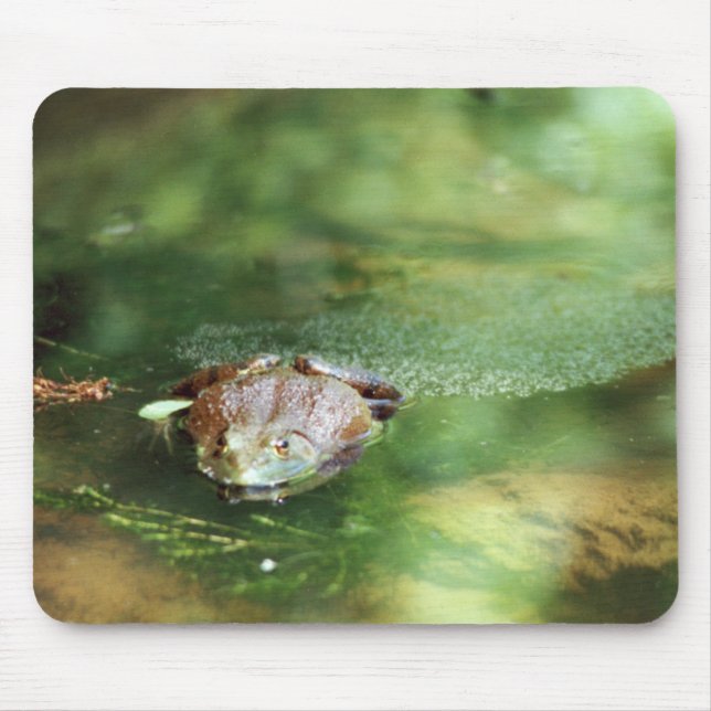 Female Bullfrog Laying Eggs Mouse Pad (Front)