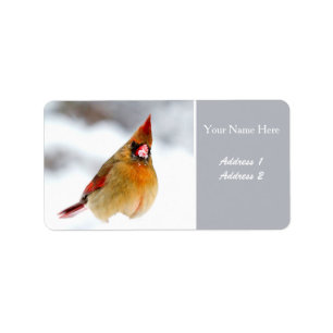 Female Cardinal Address Labels