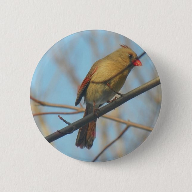Female Cardinal/Bird 6 Cm Round Badge (Front)