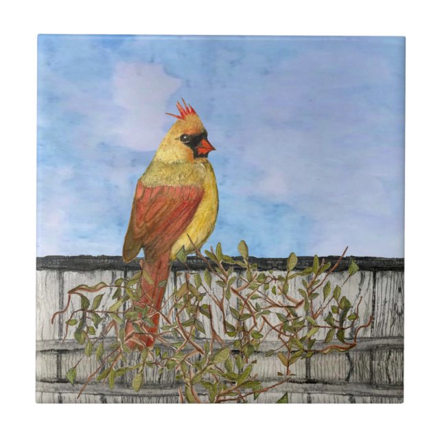 Female Cardinal Ceramic Tile (Front)
