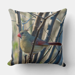 Female Cardinal Cushion