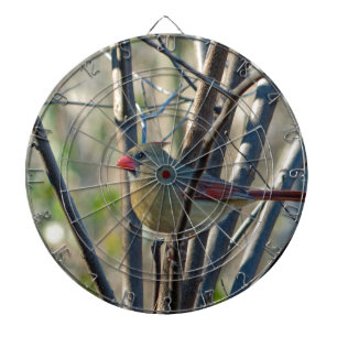 Female Cardinal Dartboard