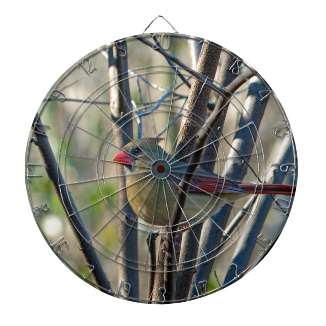 Female Cardinal Dartboard (Front)