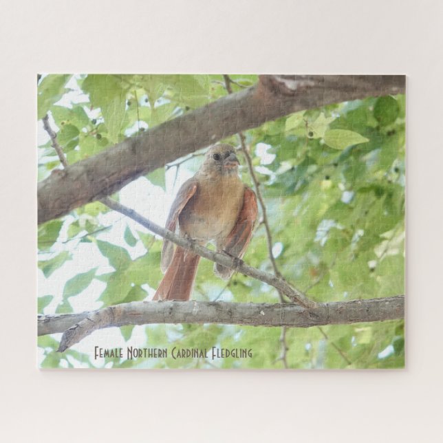 Female Cardinal Fledgling, bird lover's  Jigsaw Puzzle (Horizontal)