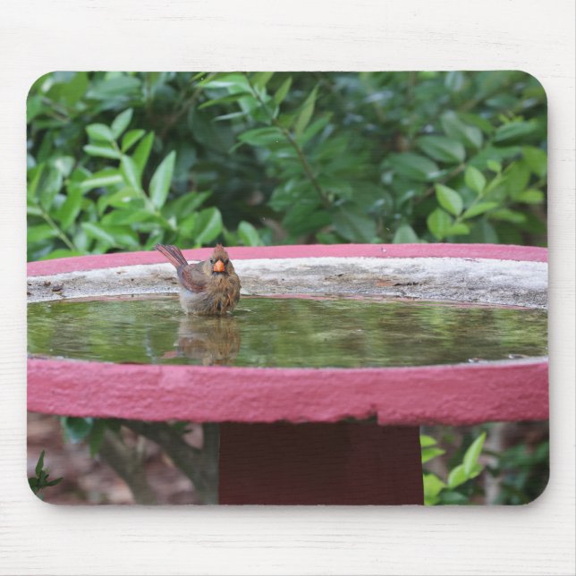 Female Cardinal in Birdbath Mouse Pad (Front)