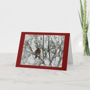 Female Cardinal in the Snow Christmas Card