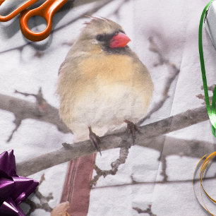 Female Cardinal In Winter Tissue Paper