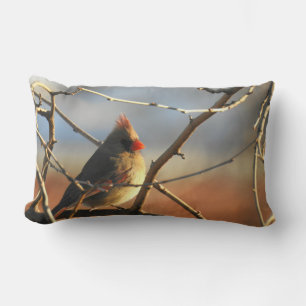 Female Cardinal Perched in Tree at Daybreak Lumbar Cushion