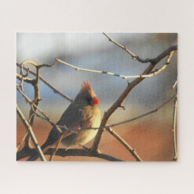 Female Cardinal Perched Jigsaw Puzzle (Horizontal)