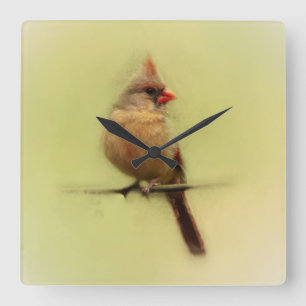 Female Cardinal Songbird Square Wall Clock