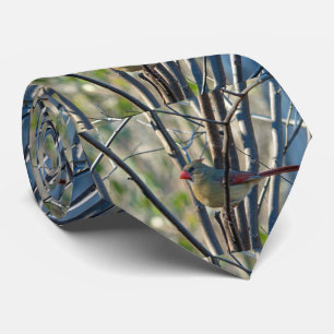 Female Cardinal Tie