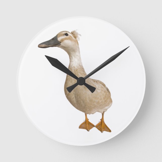 Female Crested Duck, 3 years old Round Clock (Front)