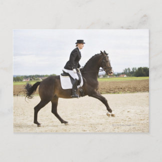 female dressage rider exercising 2 postcard
