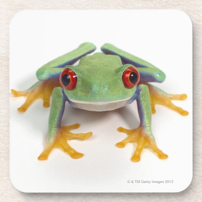 Female frog coaster (Front)