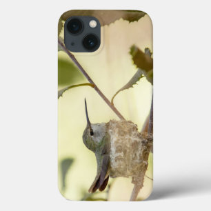 Female hummingbird on her nest iPhone 13 case