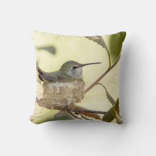 Female hummingbird on her nest cushion