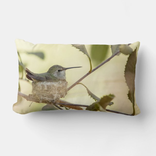 Female hummingbird on her nest lumbar cushion (Front)