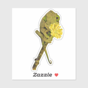 Female Jackson’s Chameleon Sticker