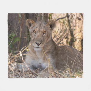 Female Lion Blanket