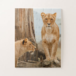Female Lions Scouting at Dead Trees Jigsaw Puzzle