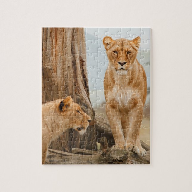 Female Lions Scouting at Dead Trees Jigsaw Puzzle (Vertical)