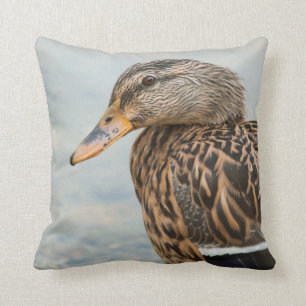 Female Mallard Duck Portrait Cushion
