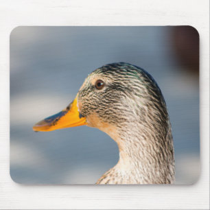 Female Mallard Mouse Pad
