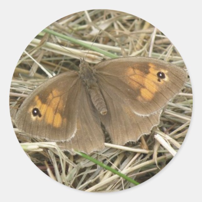 Female Meadow Brown Butterfly Stickers (Front)