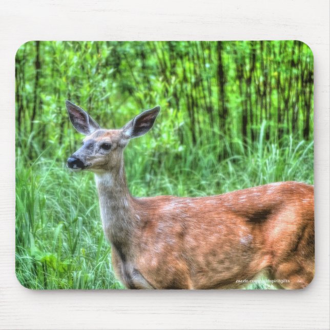 Female Mother Mule Deer on Ranch Wildlife Photo Mouse Pad (Front)