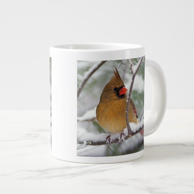 Female Northern Cardinal in snowy pine tree, Large Coffee Mug (Front Right)