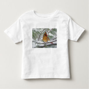 Female Northern Cardinal in snowy pine tree, Toddler T-Shirt