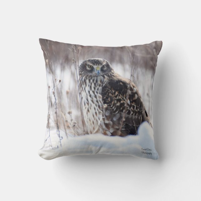 Female Northern Harrier Cushion (Front)