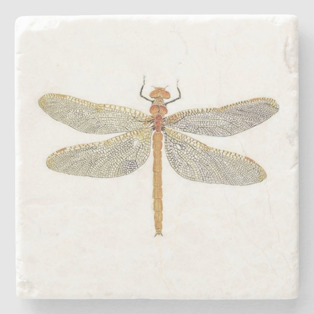 Female Orange Shadowdragon Coaster (Front)