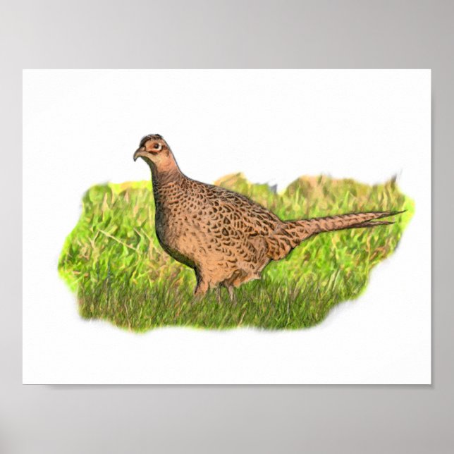 Female Pheasant in the grass Poster (Front)