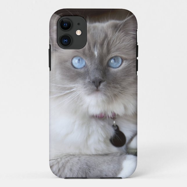 Female Ragdoll Cat Case-Mate iPhone Case (Back)