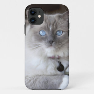 Female Ragdoll Cat Case-Mate iPhone Case