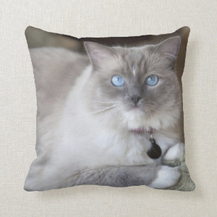 Female Ragdoll Cat Cushion