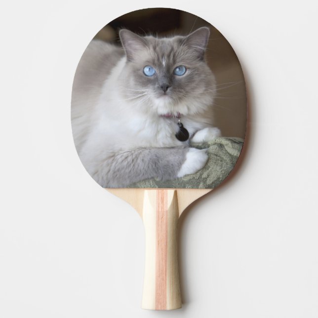 Female Ragdoll Cat Ping Pong Paddle (Front)