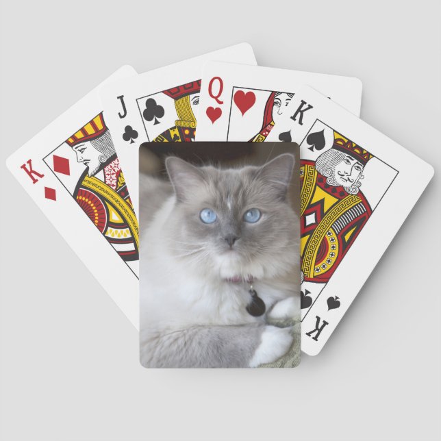 Female Ragdoll Cat Playing Cards (Back)