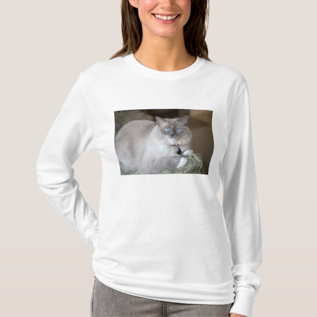 Female Ragdoll Cat T-Shirt (Front)