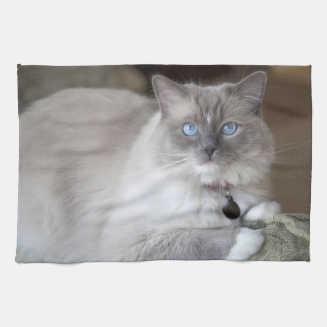 Female Ragdoll Cat Tea Towel (Horizontal)