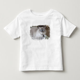 Female Ragdoll Cat Toddler T-Shirt