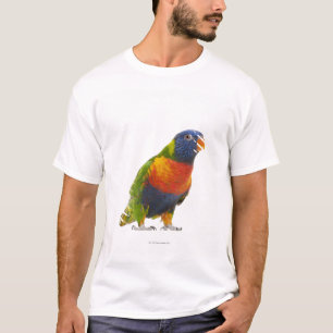 Female Rainbow Lorikeet - Trichoglossus T-Shirt